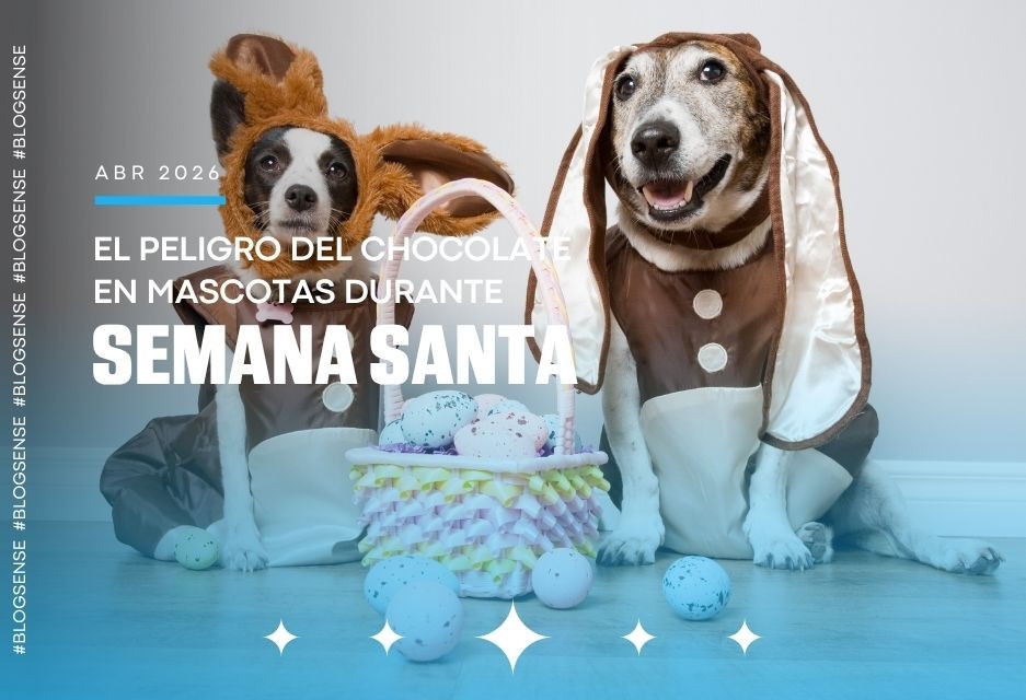 El peligro del chocolate en mascotas durante Semana Santa